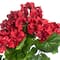 Red Geranium Bush by Ashland&#xAE;